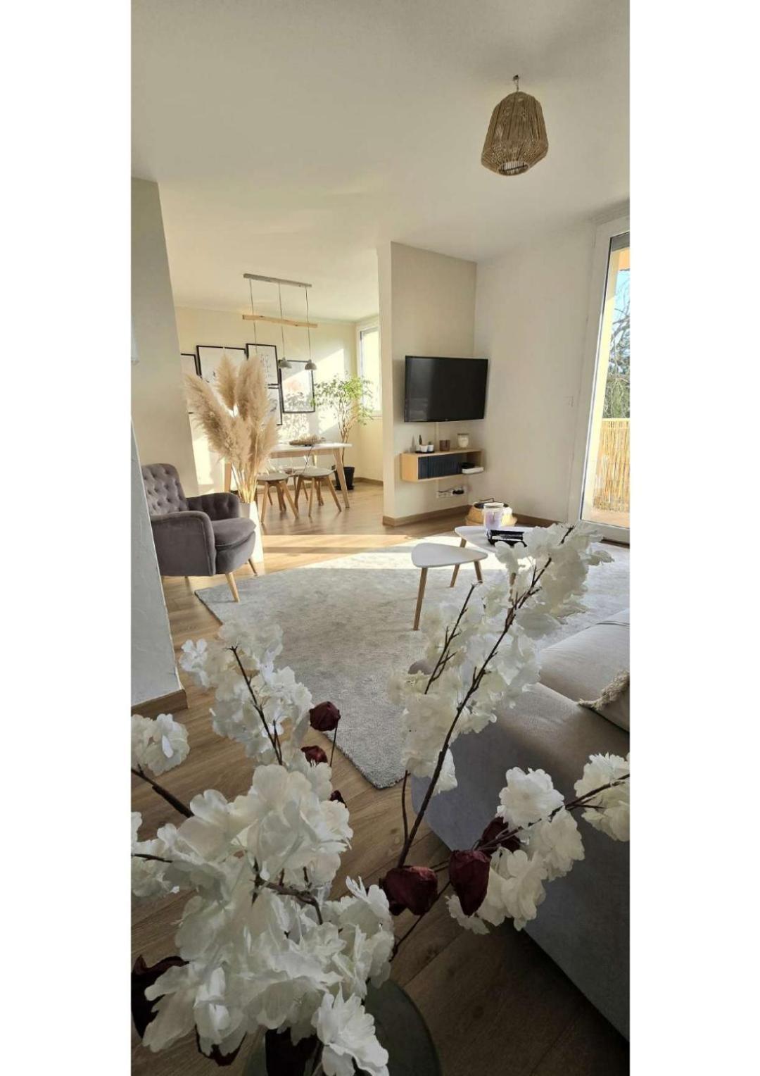 Appartamento Superbe T3 Cosy, Parking Gratuit + Balcon Riom Esterno foto