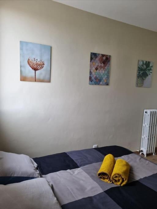 Appartamento Superbe T3 Cosy, Parking Gratuit + Balcon Riom Esterno foto