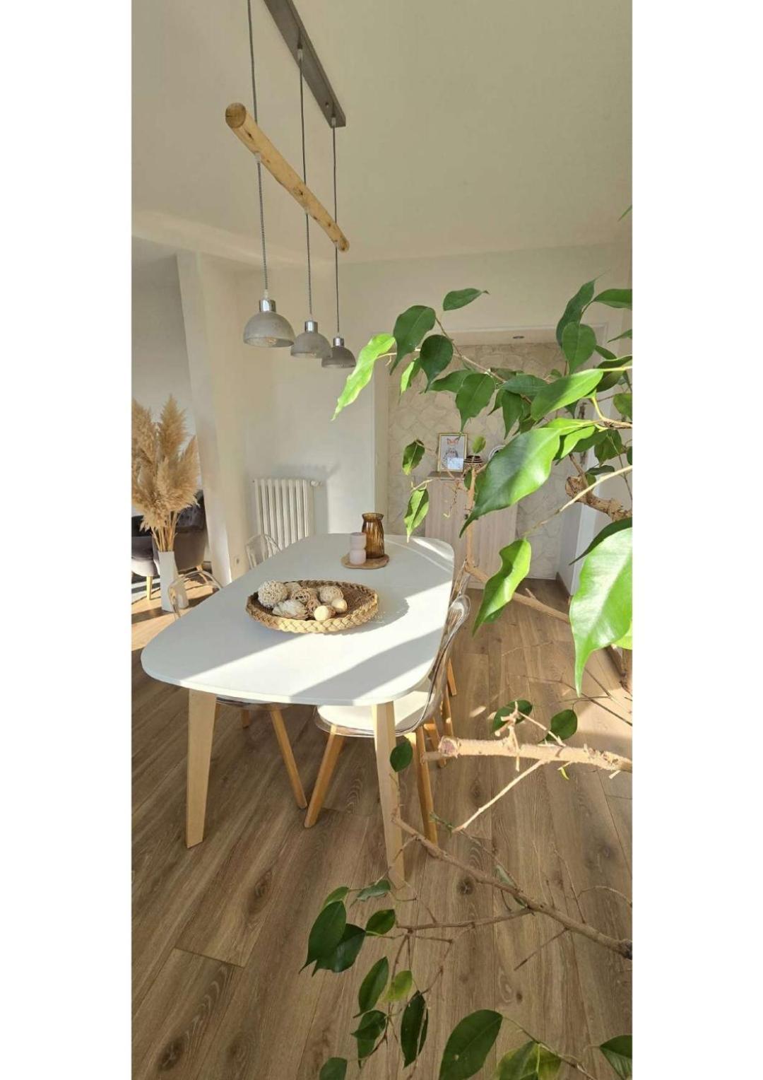 Appartamento Superbe T3 Cosy, Parking Gratuit + Balcon Riom Esterno foto